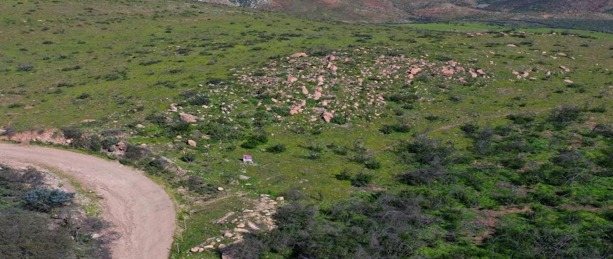 Foto de terreno habitacional en venta en  , primo tapia, playas de rosarito, baja california, 26185921 No. 03