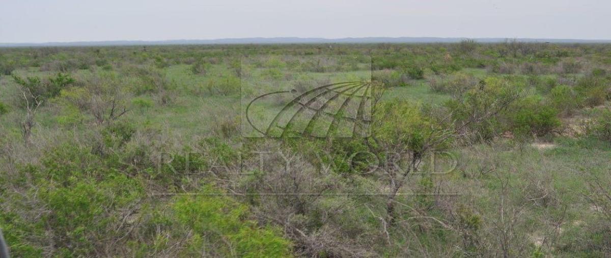 Foto de rancho en venta en  , primo verdad (san miguel), benito juárez, veracruz de ignacio de la llave, 26763300 No. 05