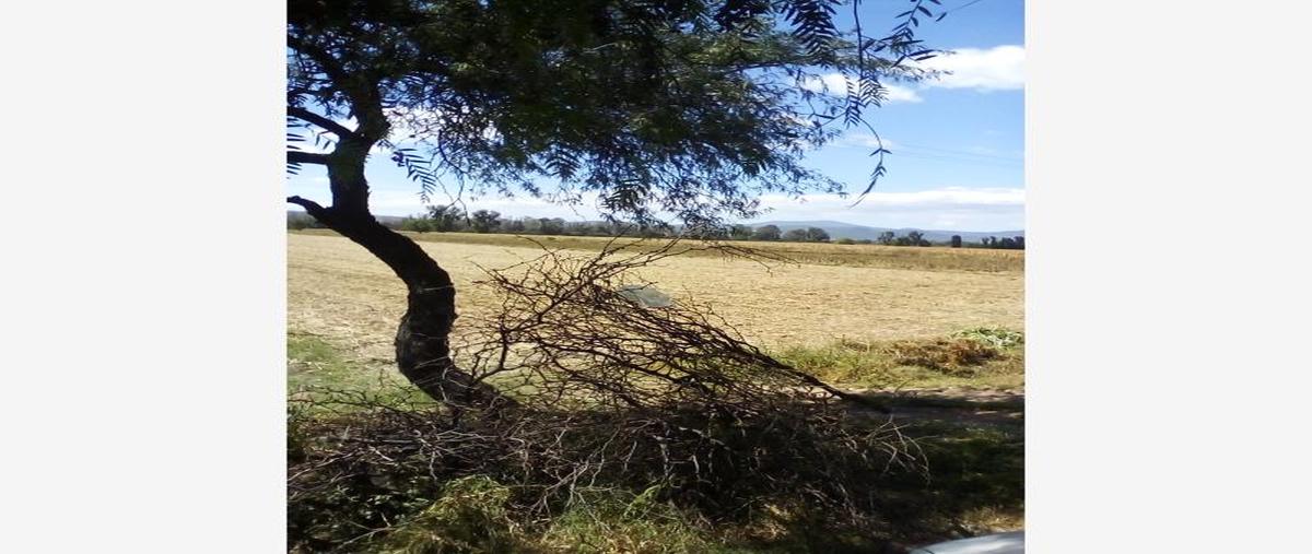 Foto de terreno habitacional en prin 3, apaseo el grande centro, apaseo el grande, guanajuato, 25155879 foto 04 Foto de terreno habitacional en venta en prin 3, apaseo el grande centro, apaseo el grande, guanajuato, 25155879 No. 04