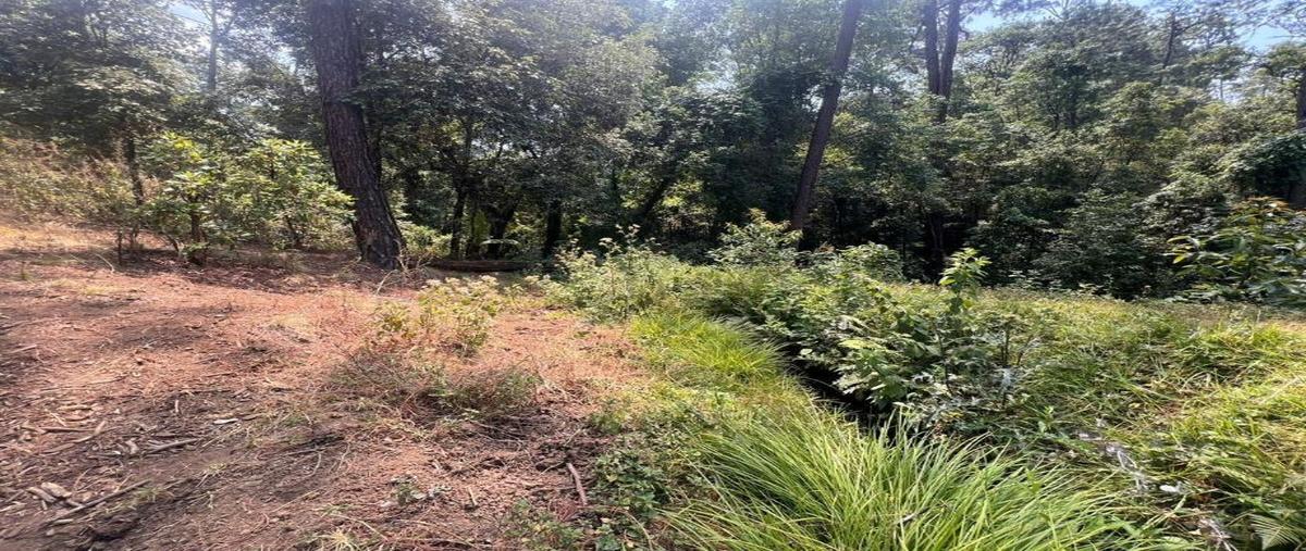 Foto de terreno habitacional en venta en principal 0, cerro colorado, valle de bravo, méxico, 28158467 No. 04