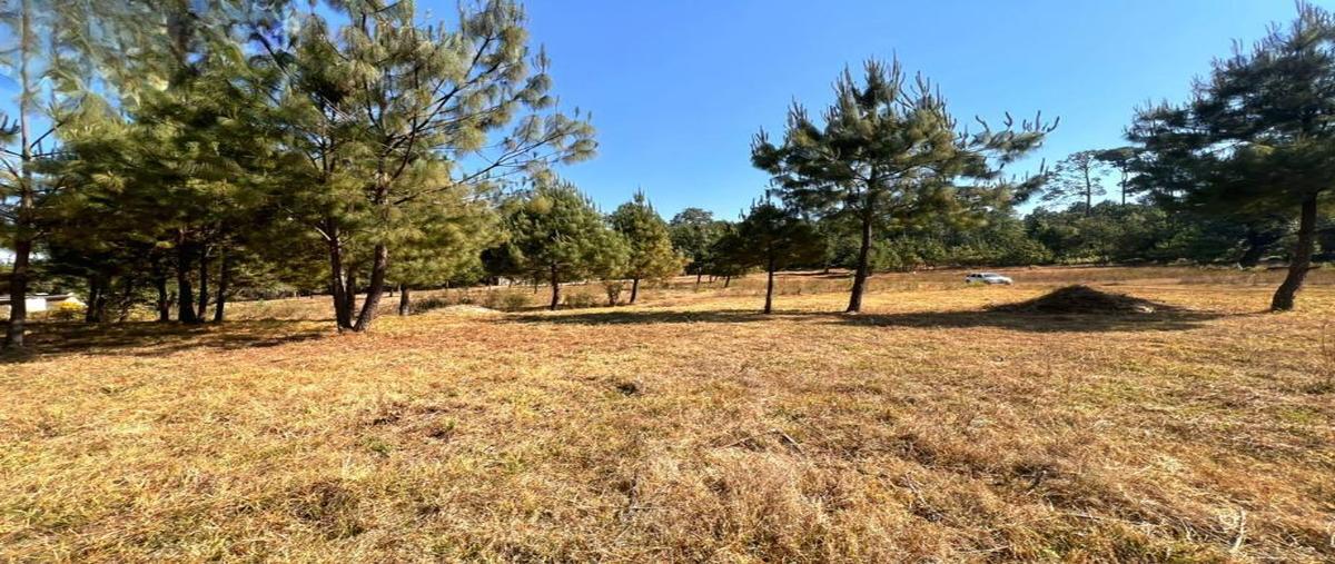 Foto de terreno habitacional en principal 0, el calvario, valle de bravo, méxico, 0 foto 02 Foto de terreno habitacional en venta en principal 0, el calvario, valle de bravo, méxico, 0 No. 02
