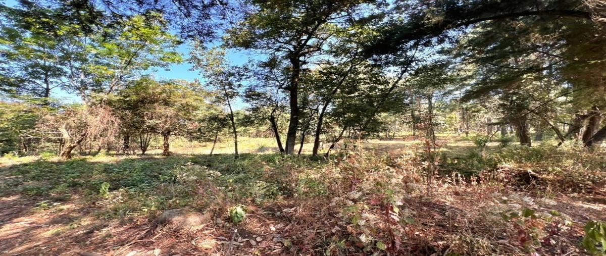 Foto de terreno habitacional en principal 0, el calvario, valle de bravo, méxico, 0 foto 03 Foto de terreno habitacional en venta en principal 0, el calvario, valle de bravo, méxico, 0 No. 03