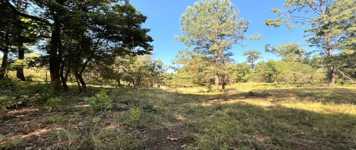 Foto de terreno habitacional en principal 0, el calvario, valle de bravo, méxico, 0 foto 04 Foto de terreno habitacional en venta en principal 0, el calvario, valle de bravo, méxico, 0 No. 04