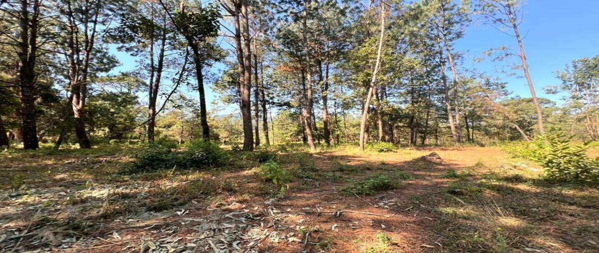 Foto de terreno habitacional en principal 0, el calvario, valle de bravo, méxico, 0 foto 05 Foto de terreno habitacional en venta en principal 0, el calvario, valle de bravo, méxico, 0 No. 05