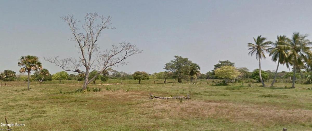 Foto de terreno habitacional en principal 0, isla del buey, centla, tabasco, 22162521 foto 02 Foto de terreno habitacional en venta en principal 0, isla del buey, centla, tabasco, 22162521 No. 02