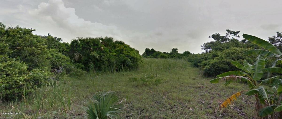 Foto de terreno habitacional en principal 0, isla del buey, centla, tabasco, 22162521 foto 03 Foto de terreno habitacional en venta en principal 0, isla del buey, centla, tabasco, 22162521 No. 03