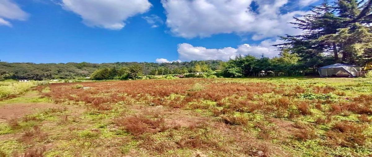 Foto de terreno habitacional en venta en principal 0, santa maría ahuacatlan, valle de bravo, méxico, 28178584 No. 03