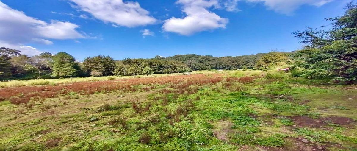 Foto de terreno habitacional en venta en principal 0, santa maría ahuacatlan, valle de bravo, méxico, 28178584 No. 04