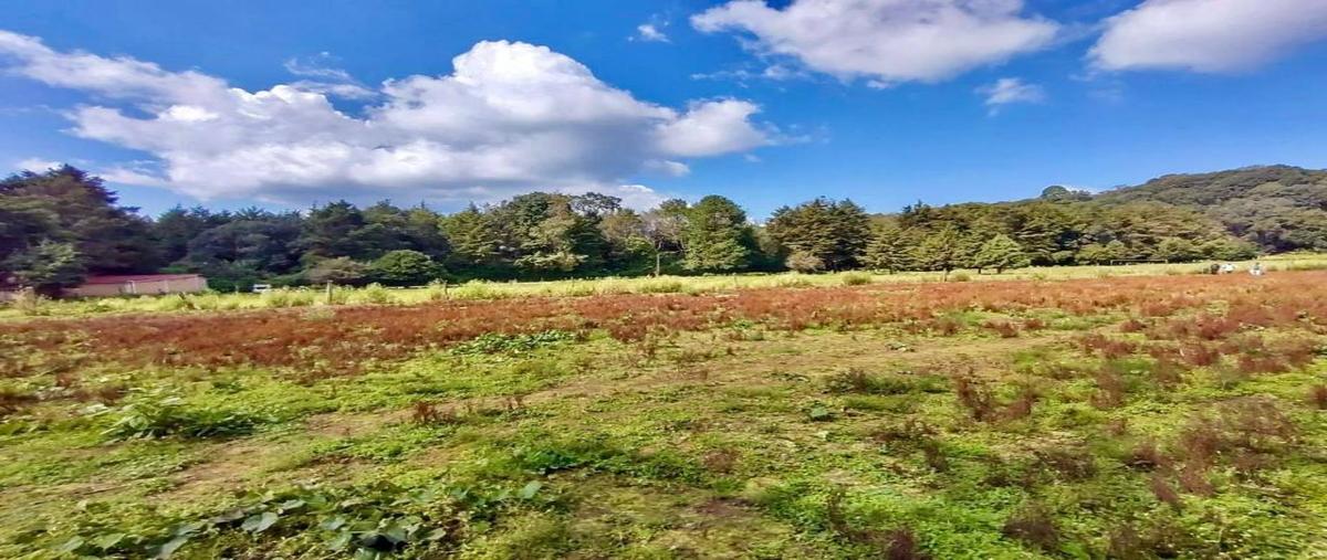 Foto de terreno habitacional en venta en principal 0, santa maría ahuacatlan, valle de bravo, méxico, 28178584 No. 05