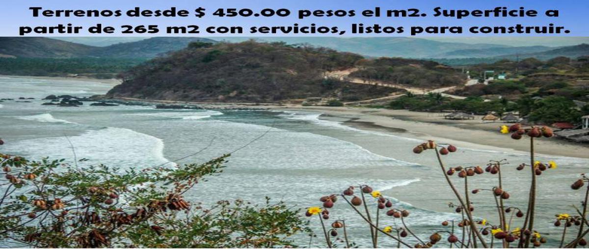 Foto de terreno habitacional en venta en principal 222, la capilla, técpan de galeana, guerrero, 8922999 No. 03