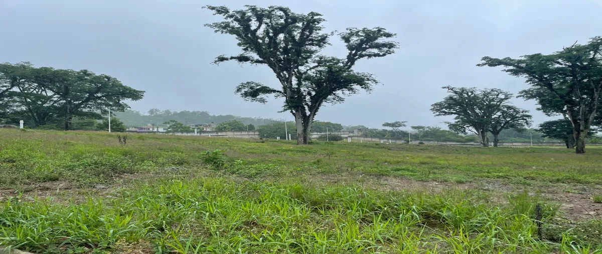 Foto de terreno habitacional en venta en principal 45, zimpizahua, coatepec, veracruz de ignacio de la llave, 0 No. 05
