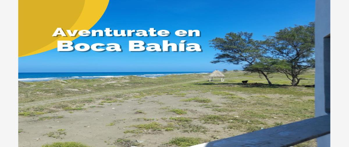 Foto de terreno habitacional en venta en principal 50, palma sola, alto lucero de gutiérrez barrios, veracruz de ignacio de la llave, 26537193 No. 04