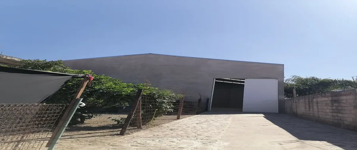 Foto de bodega en renta en principal 826, san sebastián, san pablo del monte, tlaxcala, 0 No. 03