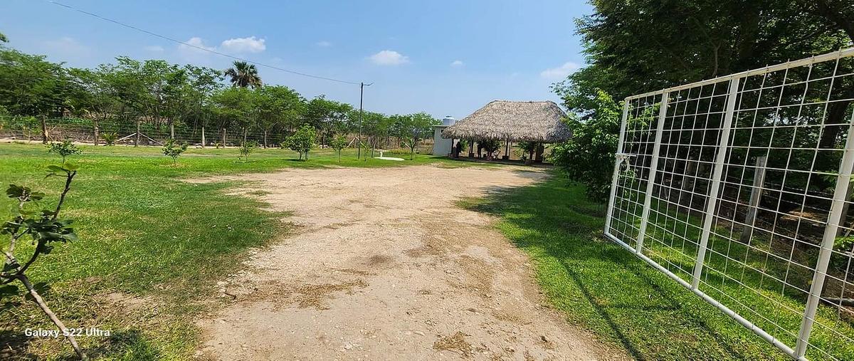 Foto de rancho en venta en principal a las cascadas el chiflon , tzimol, tzimol, chiapas, 30646258 No. 05