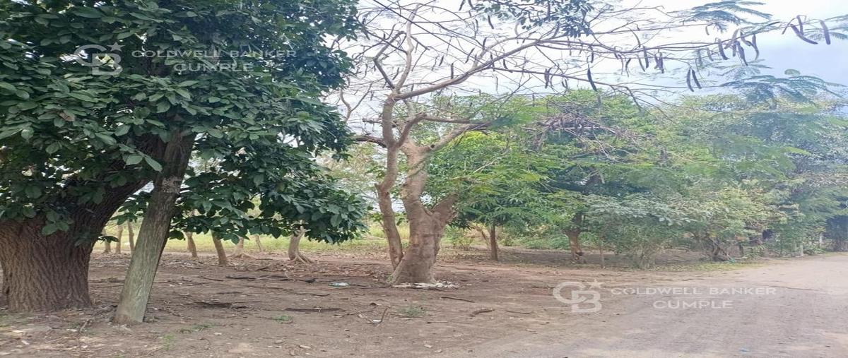 Foto de terreno comercial en venta en principal , agrícola industrial, veracruz, veracruz de ignacio de la llave, 0 No. 03