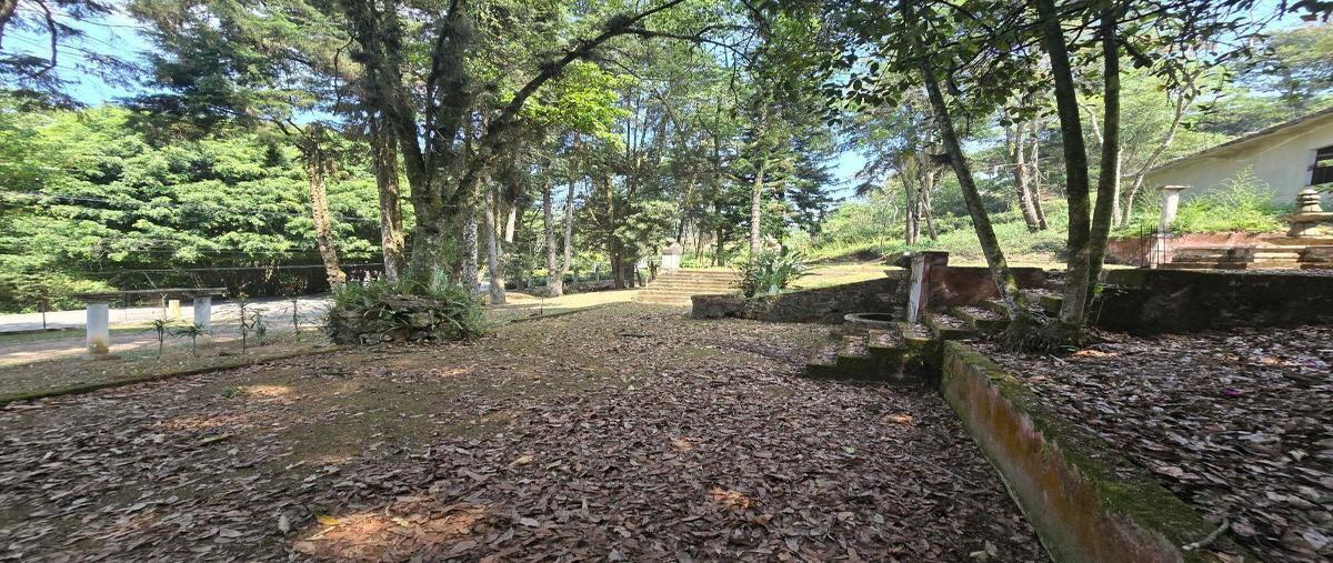 Foto de local en renta en principal , briones, coatepec, veracruz de ignacio de la llave, 27971178 No. 05