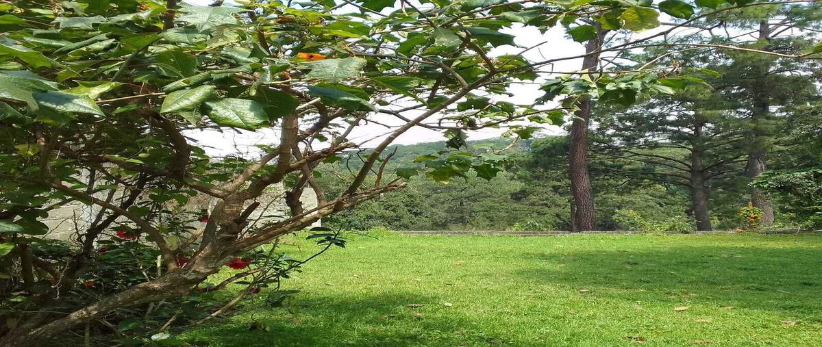 Foto de casa en venta en principal , casas viejas, valle de bravo, méxico, 0 No. 03