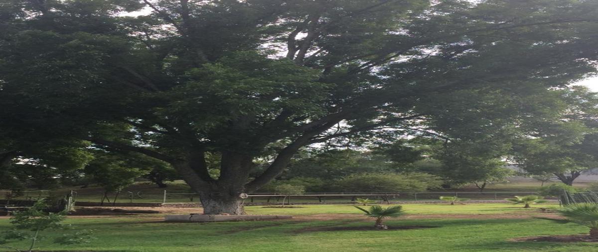 Foto de terreno habitacional en venta en principal , el espejo, san miguel de allende, guanajuato, 18470065 No. 05