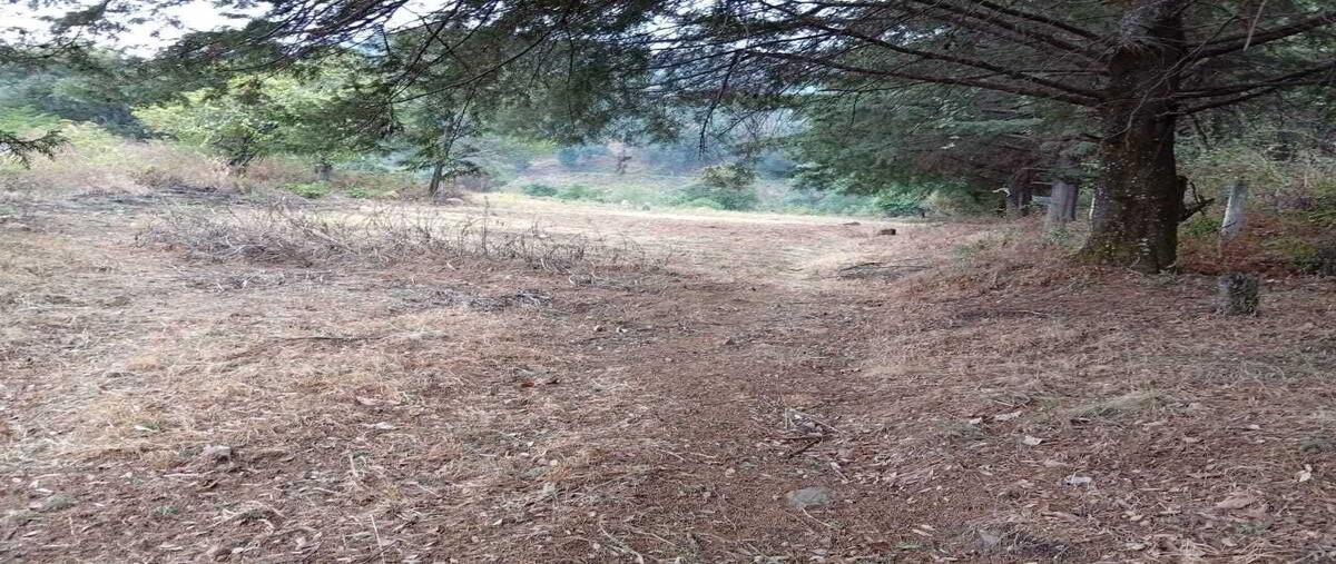 Foto de terreno habitacional en venta en principal , la candelaria, valle de bravo, méxico, 0 No. 03