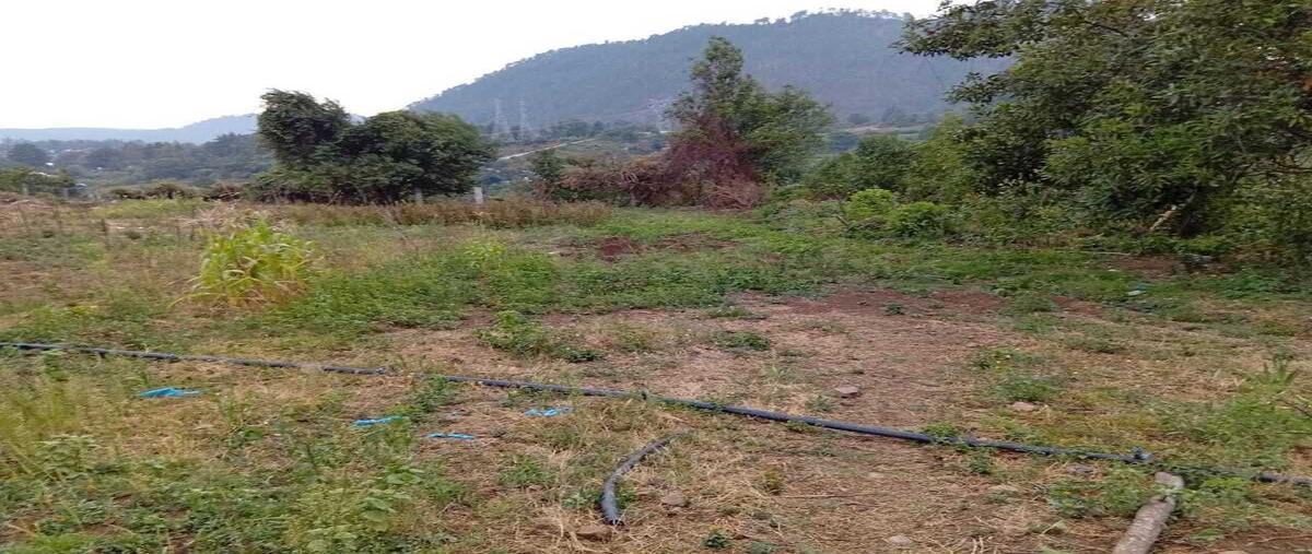 Foto de terreno habitacional en venta en principal , la candelaria, valle de bravo, méxico, 0 No. 04