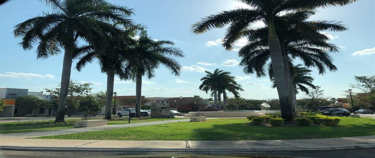 Foto de casa en principal , las fincas, mérida, yucatán, 20684748 foto 03 Foto de casa en renta en principal , las fincas, mérida, yucatán, 20684748 No. 03