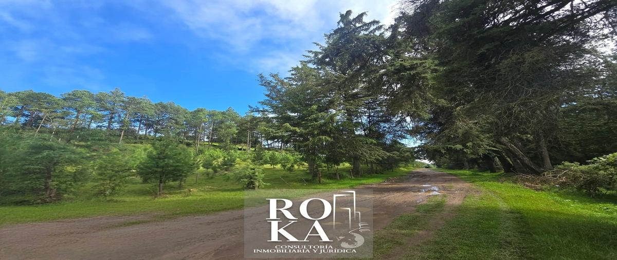 Foto de terreno habitacional en venta en principal , las vigas de ramirez, las vigas de ramírez, veracruz de ignacio de la llave, 0 No. 03