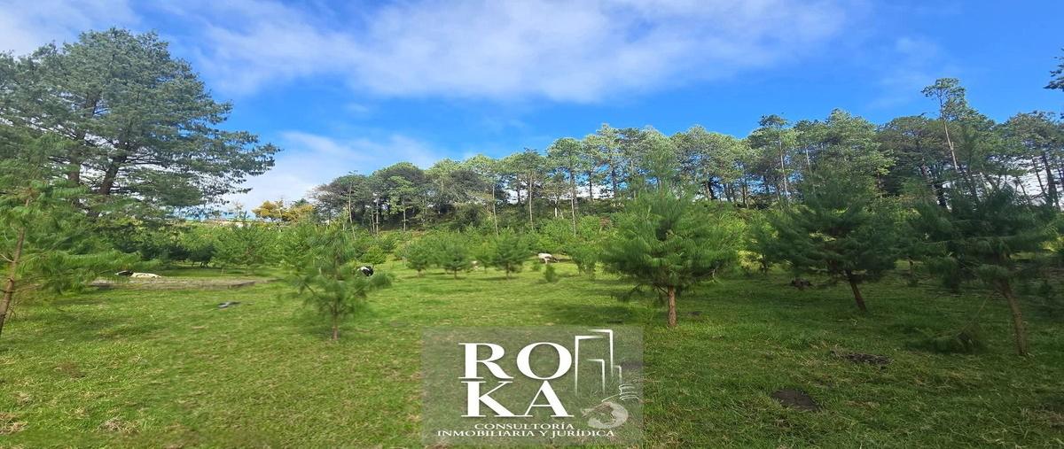 Foto de terreno habitacional en venta en principal , las vigas de ramirez, las vigas de ramírez, veracruz de ignacio de la llave, 30401568 No. 04