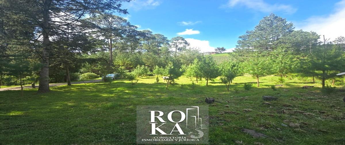 Foto de terreno habitacional en venta en principal , las vigas de ramirez, las vigas de ramírez, veracruz de ignacio de la llave, 30401568 No. 05