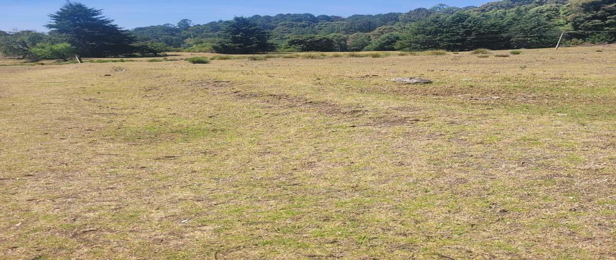 Foto de terreno habitacional en venta en principal , los saúcos, valle de bravo, méxico, 0 No. 05