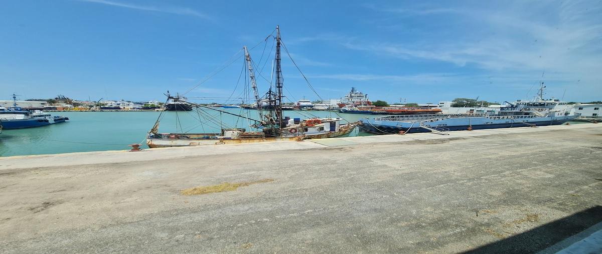 Foto de bodega en venta en principal , puerto pesquero, carmen, campeche, 0 No. 03