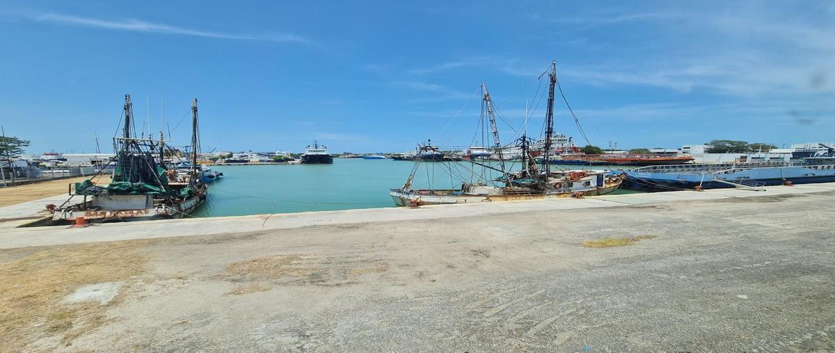 Foto de bodega en venta en principal , puerto pesquero, carmen, campeche, 0 No. 04