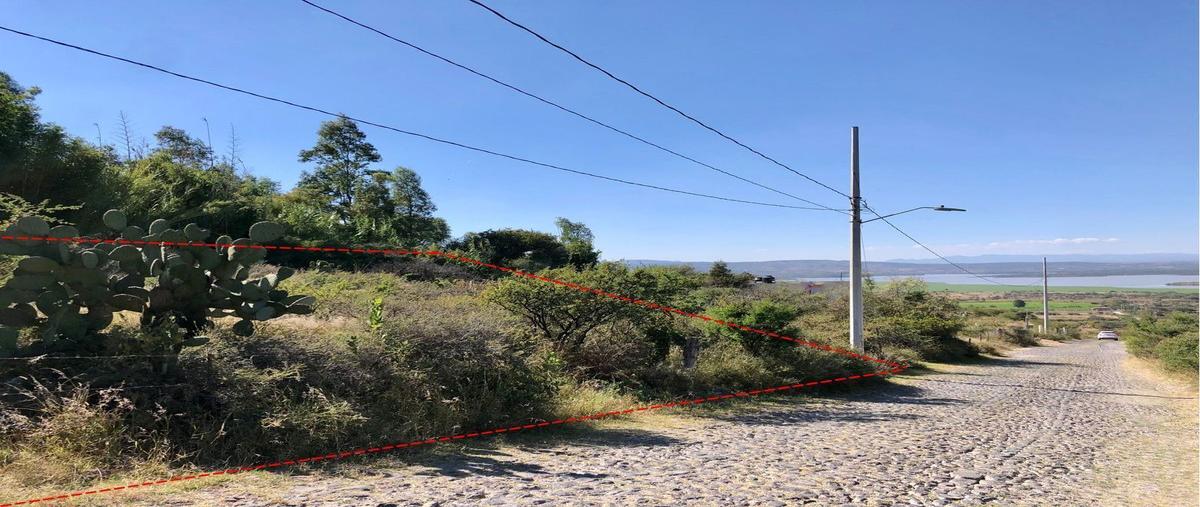 Foto de terreno habitacional en venta en principal saturnino delgado , don juan xido de abajo (cabras de begoña), san miguel de allende, guanajuato, 23020768 No. 05