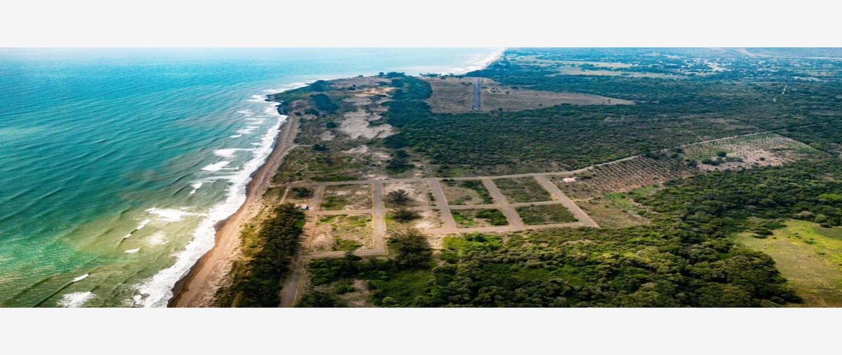 Foto de terreno habitacional en venta en principal sin numero, palma sola, alto lucero de gutiérrez barrios, veracruz de ignacio de la llave, 26848280 No. 03
