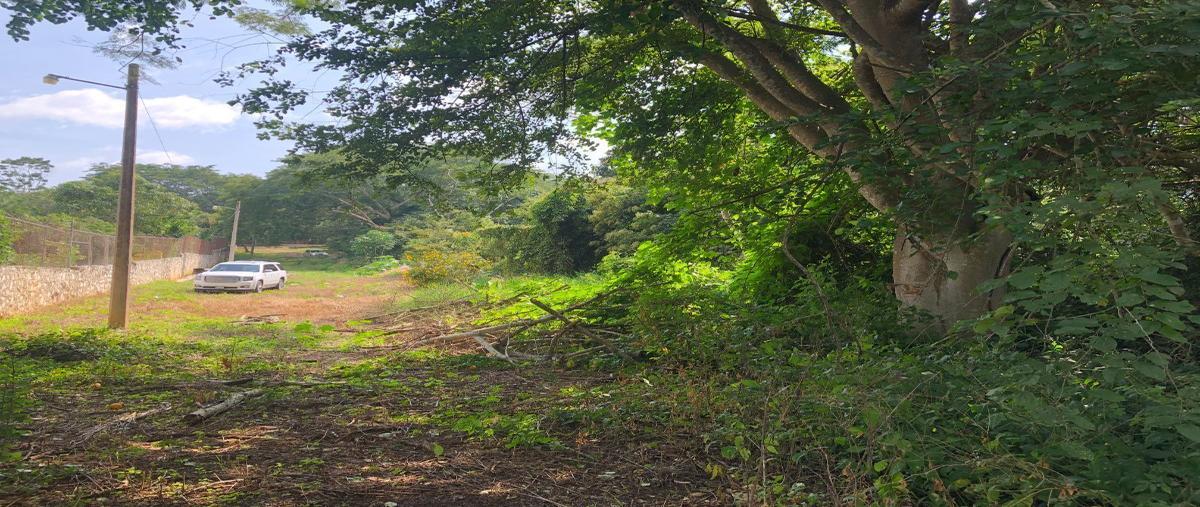 Foto de terreno habitacional en venta en privada 1 lote 7 , don ventura, san fernando, chiapas, 17450457 No. 03