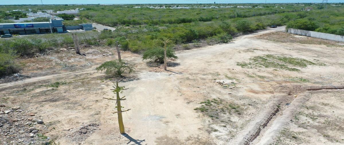 Foto de terreno habitacional en venta en privada aira , cholul, mérida, yucatán, 27448614 No. 04