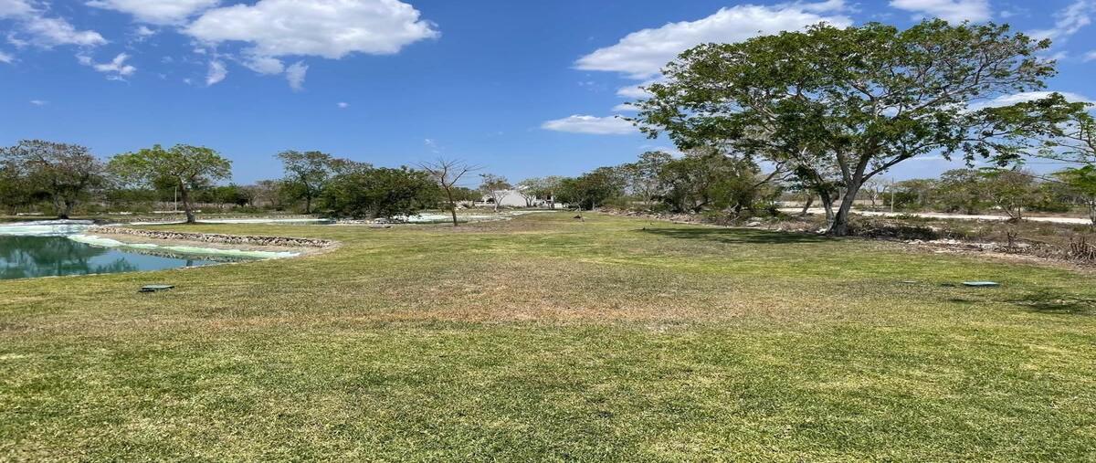 Foto de terreno habitacional en venta en privada altozano carretera a progreso , arcos del sol, mérida, yucatán, 0 No. 05