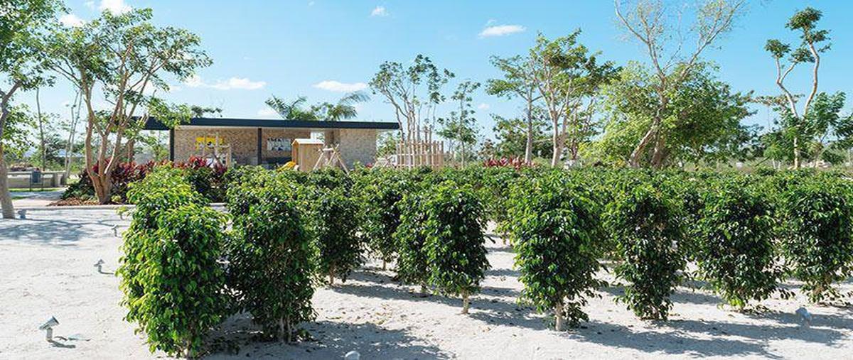 Foto de terreno habitacional en venta en privada arborea , conkal, conkal, yucatán, 29808102 No. 04