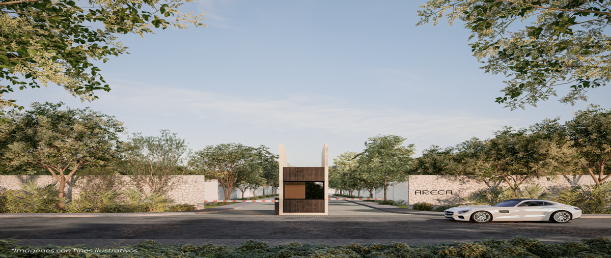 Foto de terreno habitacional en venta en privada arecacholul , cholul, mérida, yucatán, 0 No. 03