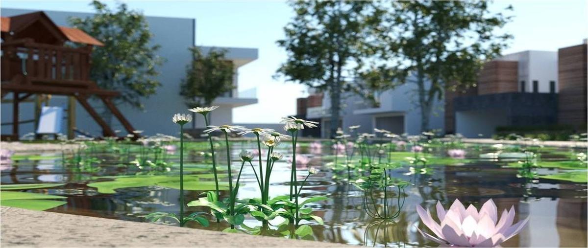 Foto de terreno habitacional en venta en privada avenida 20 1/2 sur , sector sur, delicias, chihuahua, 25836195 No. 03