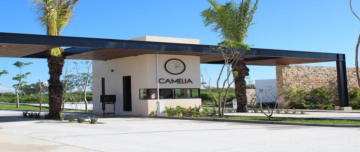 Foto de terreno habitacional en venta en privada camelia , sitpach, mérida, yucatán, 30294104 No. 02