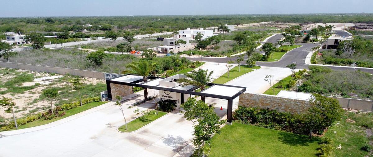 Foto de terreno habitacional en venta en privada camelia , sitpach, mérida, yucatán, 30294104 No. 03