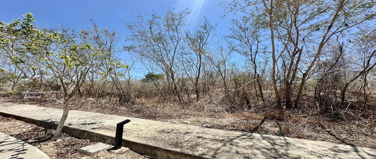 Foto de terreno habitacional en venta en privada , conkal, conkal, yucatán, 0 No. 03