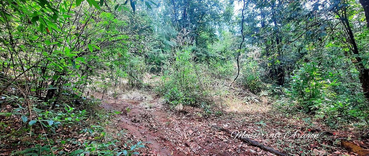 Foto de terreno habitacional en privada , cuadrilla de dolores, valle de bravo, méxico, 26550102 foto 01 Foto de terreno habitacional en venta en privada , cuadrilla de dolores, valle de bravo, méxico, 26550102 No. 01