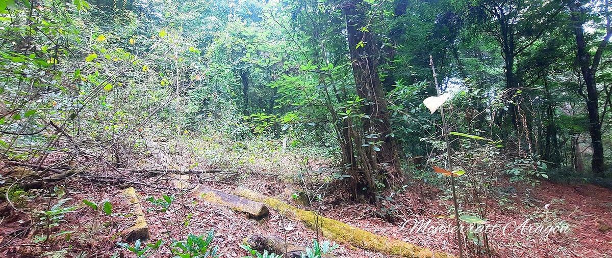 Foto de terreno habitacional en privada , cuadrilla de dolores, valle de bravo, méxico, 26550102 foto 02 Foto de terreno habitacional en venta en privada , cuadrilla de dolores, valle de bravo, méxico, 26550102 No. 02