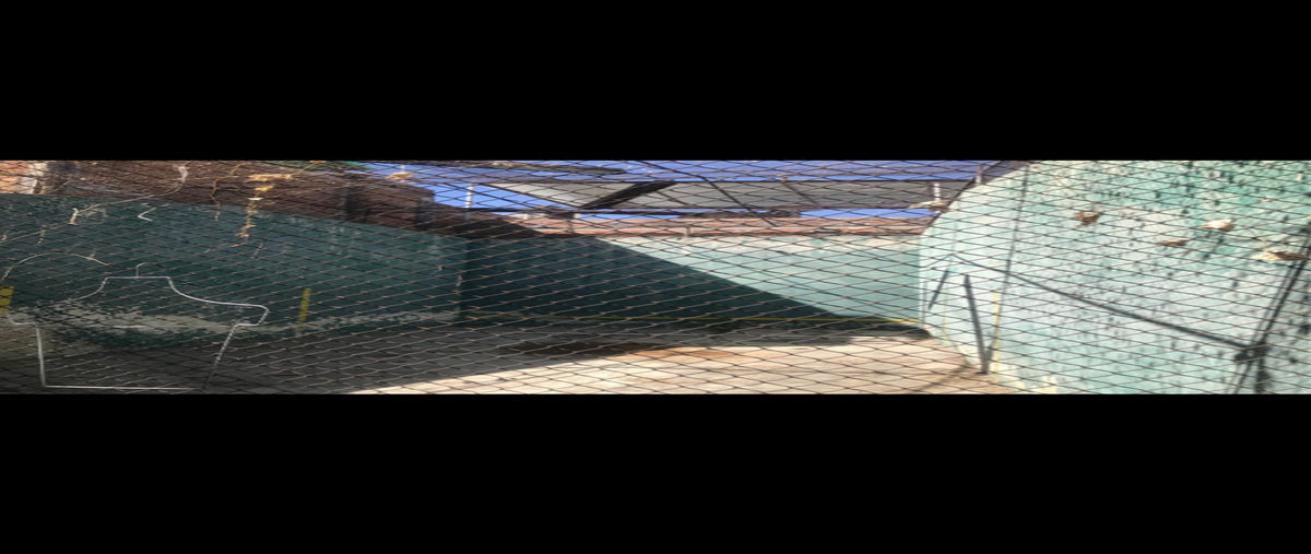 Foto de casa en venta en privada cuauhtémoc , tetlán, guadalajara, jalisco, 27854629 No. 05