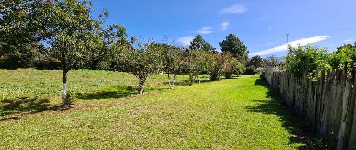 Foto de terreno habitacional en venta en privada daniel sarmiento rojas , los alcanfores, san cristóbal de las casas, chiapas, 25299331 No. 03