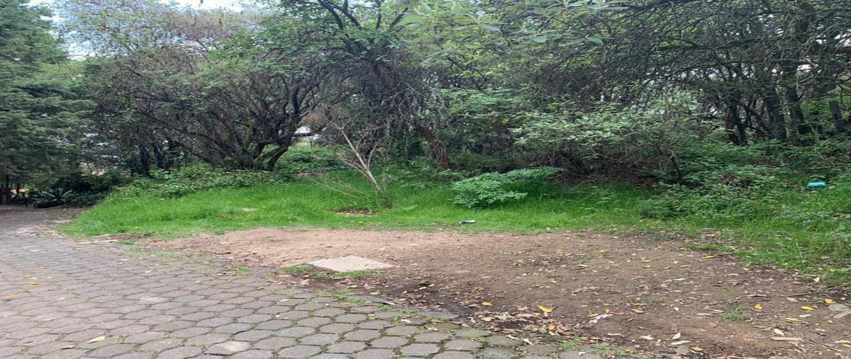Foto de terreno industrial en venta en privada de aire puro lote , tlalpuente, tlalpan, df / cdmx, 30875965 No. 04