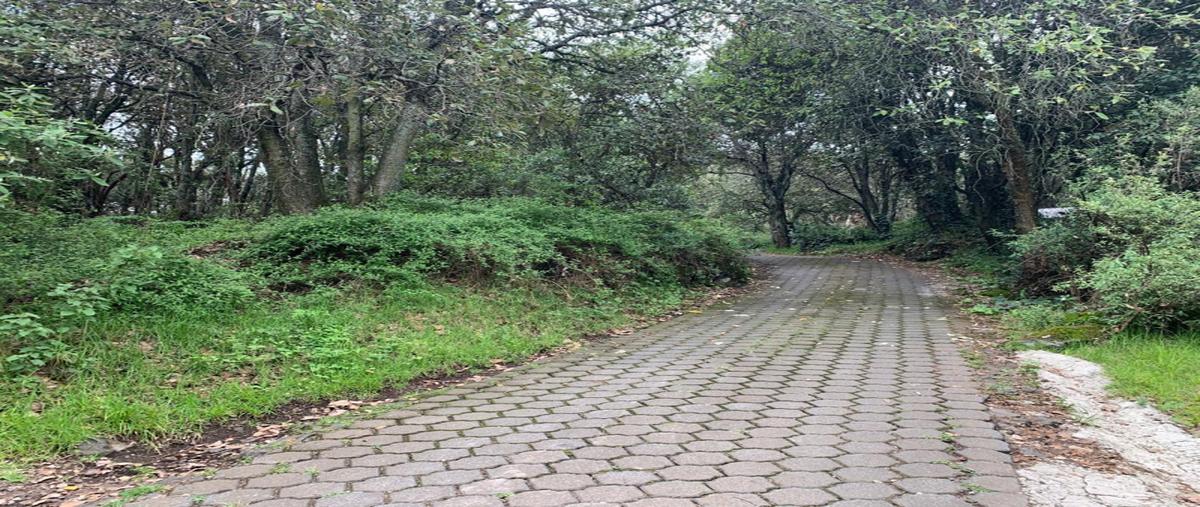 Foto de terreno industrial en venta en privada de aire puro lote , tlalpuente, tlalpan, df / cdmx, 30875965 No. 05