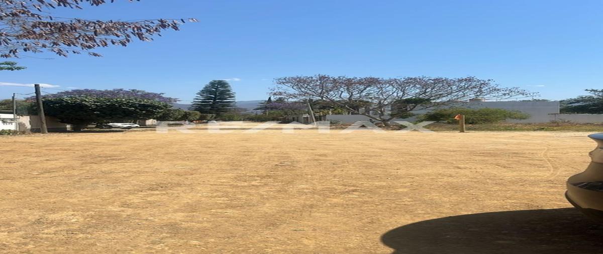 Foto de terreno habitacional en venta en privada de camino nacional , santa maria del tule, santa maría del tule, oaxaca, 0 No. 03