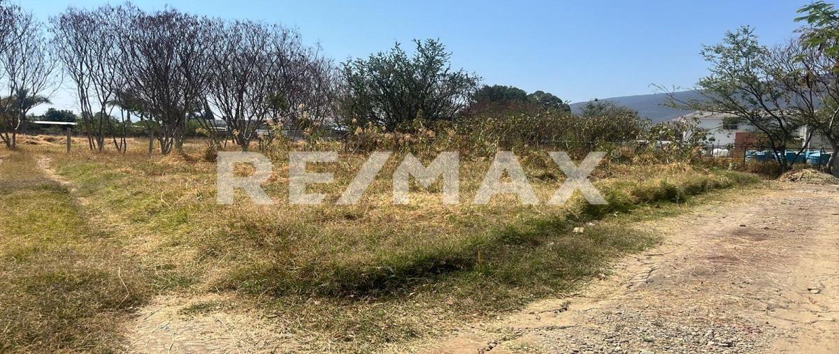 Foto de terreno habitacional en venta en privada de camino nacional , santa maria del tule, santa maría del tule, oaxaca, 0 No. 04